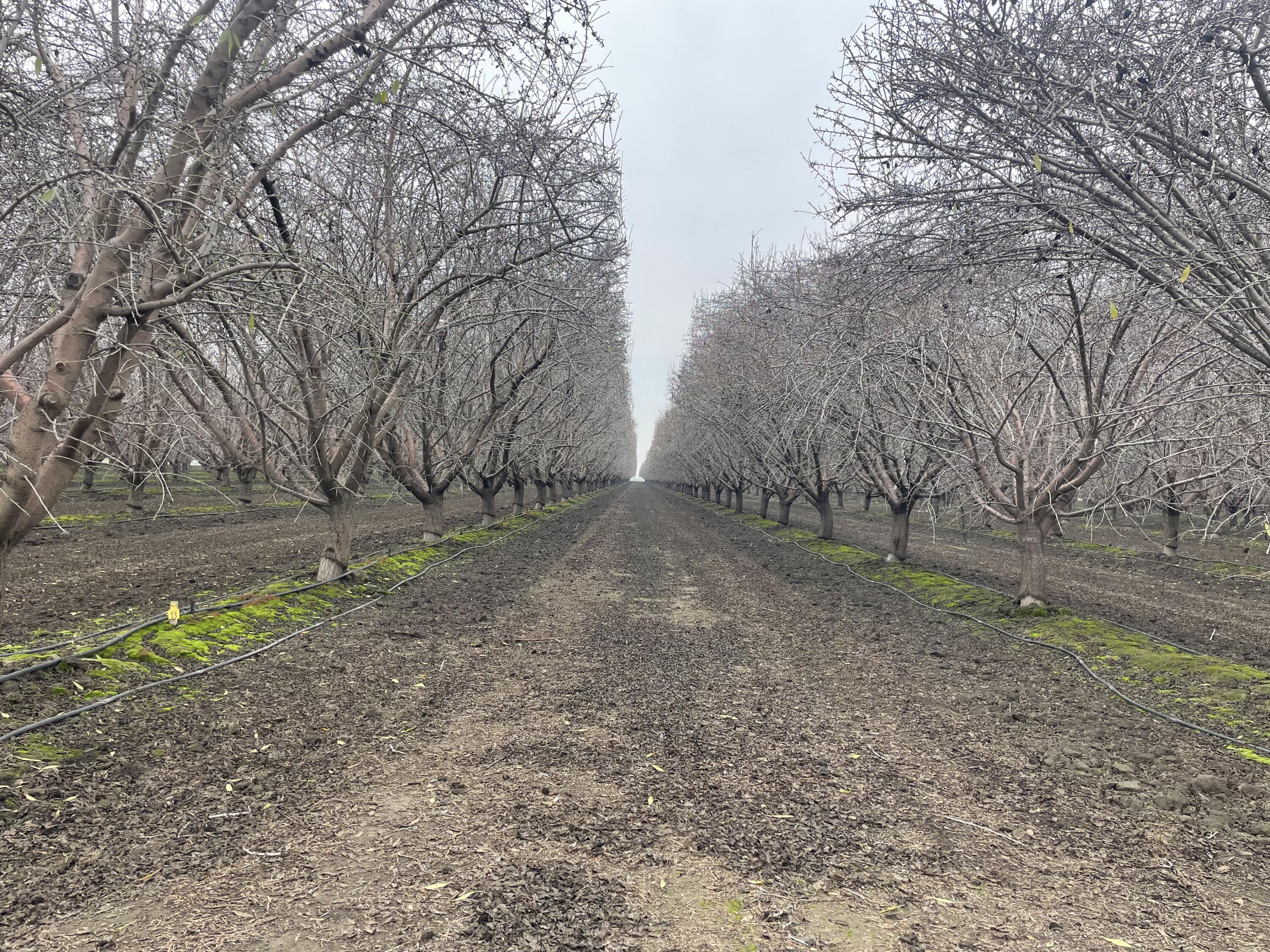 0 Idaho Ave, Hanford, CA 93230